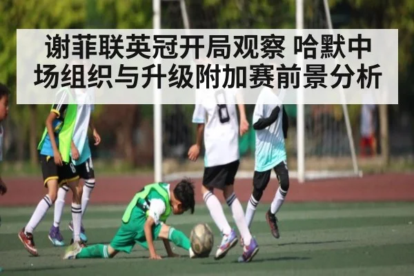 谢菲联英冠开局观察 哈默中场组织与升级附加赛前景分析
