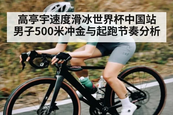 高亭宇速度滑冰世界杯中国站男子500米冲金与起跑节奏分析